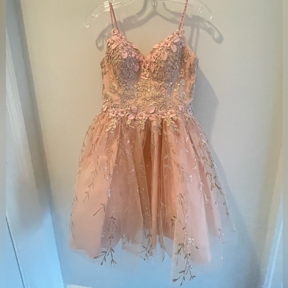 Anjeeli Embroidered Babydoll Short Glitter Dress in rose gold size XS - Picture 4 of 7